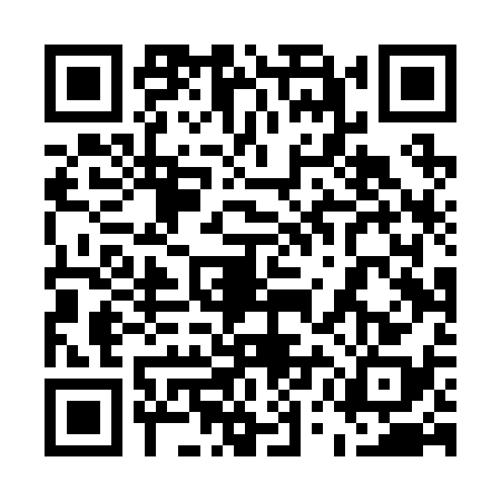 QR code for 55DR382