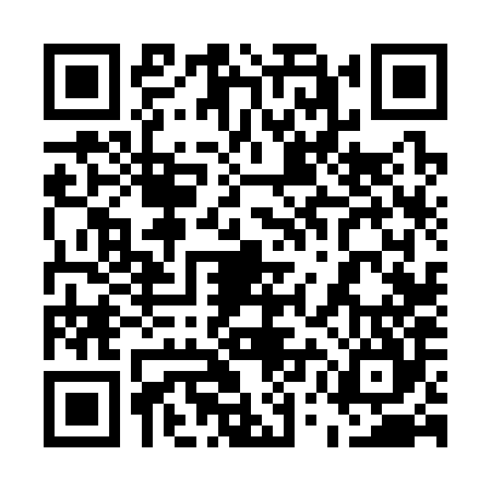 QR code for 55F384K