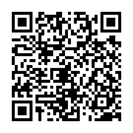 QR code for 55FF403