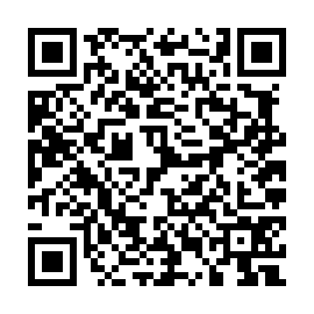 QR code for 55FL740