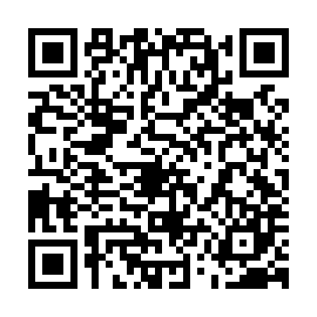 QR code for 55FL877