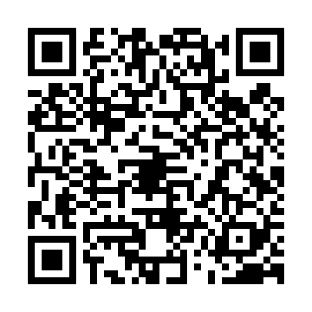 QR code for 55FT294