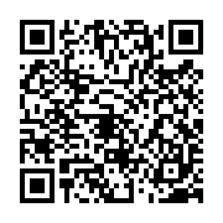 QR code for 55FT979