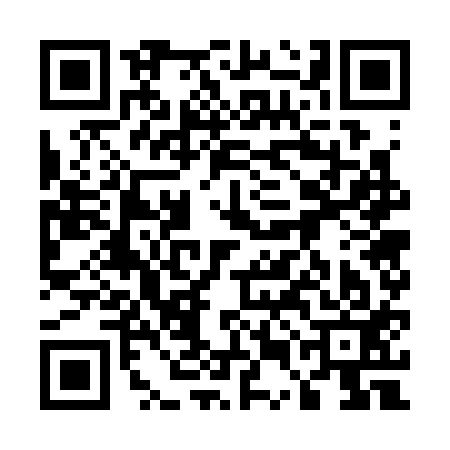 QR code for 55G313A