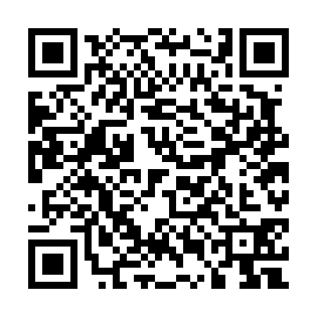 QR code for 55GD304