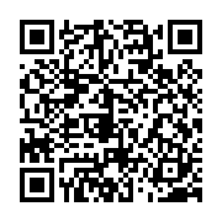QR code for 55GP238
