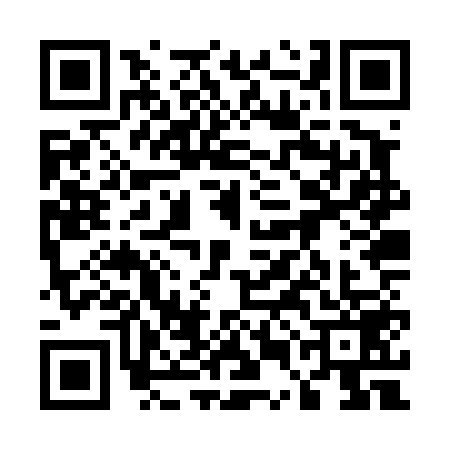 QR code for 55JT594