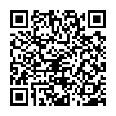 QR code for 55LW383