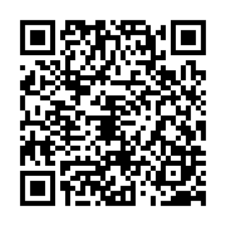 QR code for 55MS828