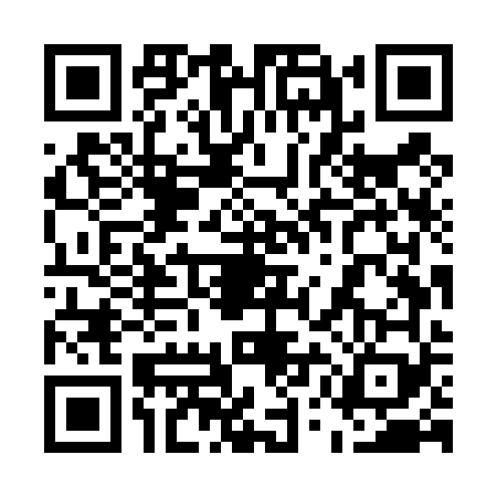 QR code for 55MT695