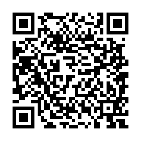 QR code for 55N093M