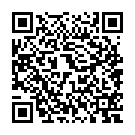 QR code for 55N3146