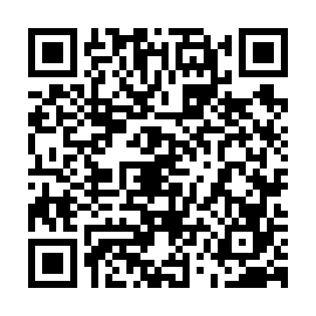 QR code for 55N6663