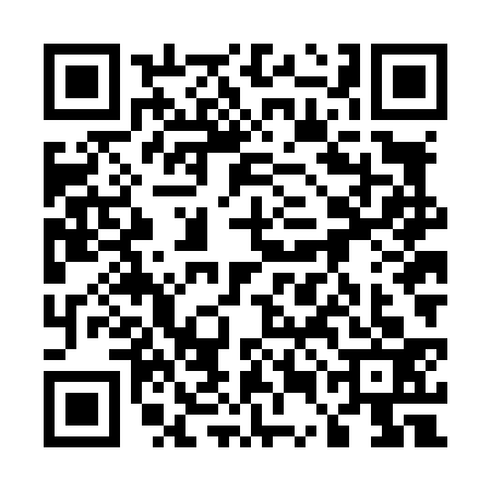 QR code for 55NL333
