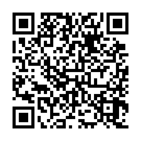 QR code for 55NSH80