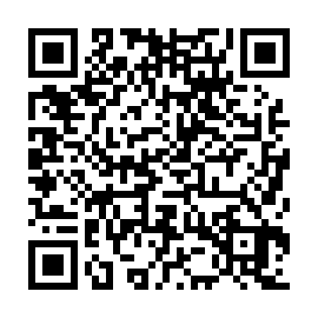 QR code for 55P023T