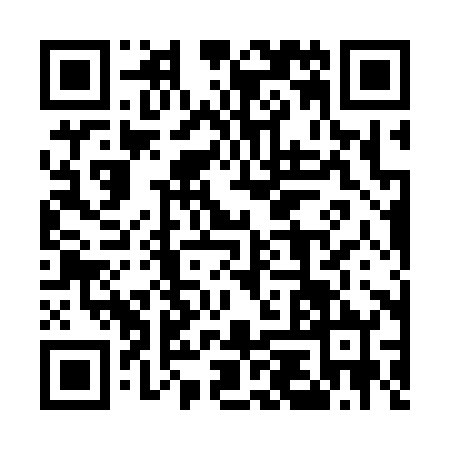 QR code for 55P382L