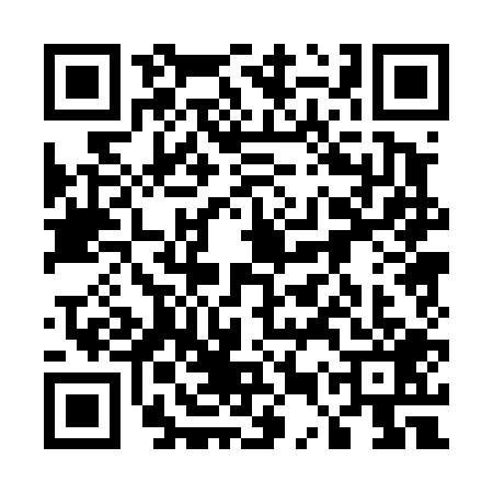 QR code for 55P4095