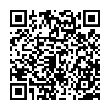 QR code for 55P426H