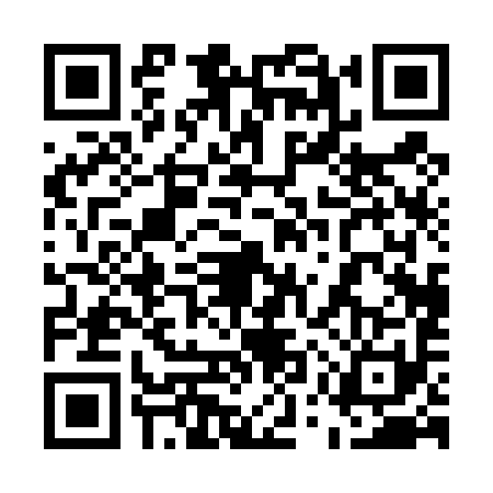 QR code for 55P4911