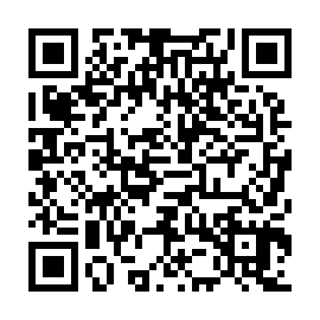 QR code for 55P905S