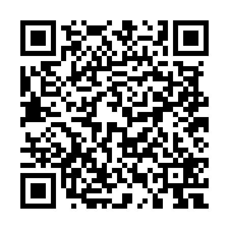 QR code for 55PM299