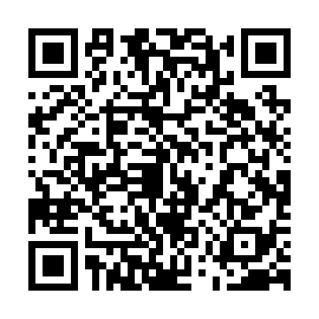 QR code for 55PR386