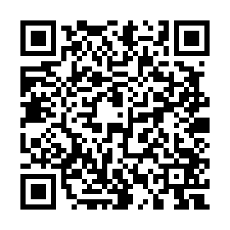 QR code for 55PT438