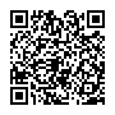 QR code for 55PT991