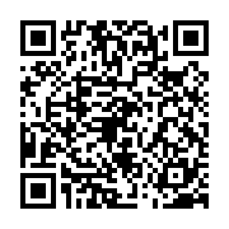 QR code for 55RA355