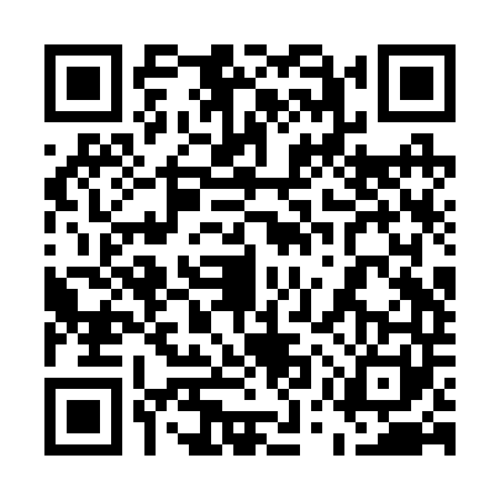 QR code for 55RR419
