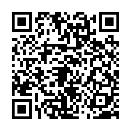 QR code for 55RR594