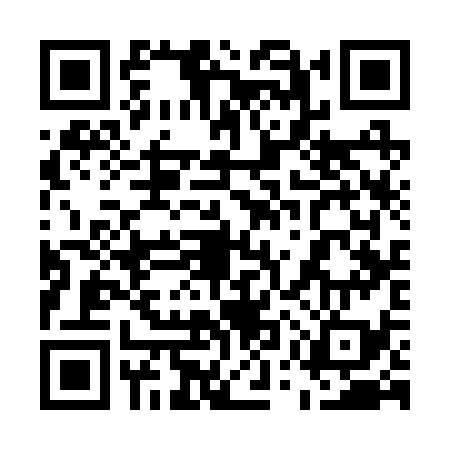 QR code for 55S239A