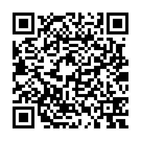 QR code for 55SP395