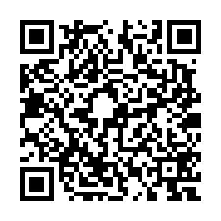QR code for 55ST595