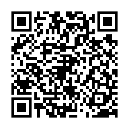 QR code for 55SV493