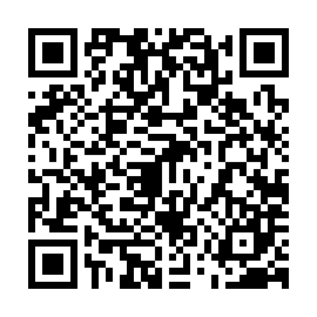 QR code for 55T3870