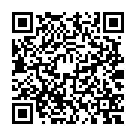 QR code for 55TT374