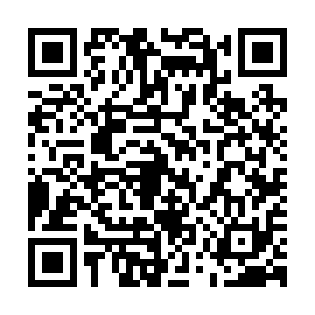QR code for 55V211Z