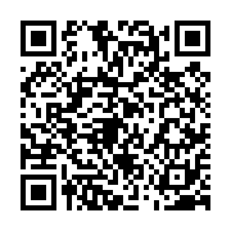 QR code for 55V411C