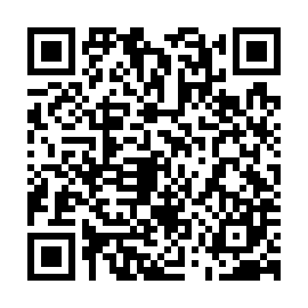 QR code for 55VG878