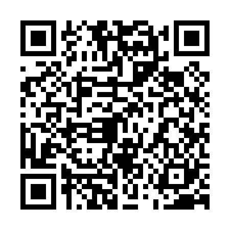QR code for 55Y020W