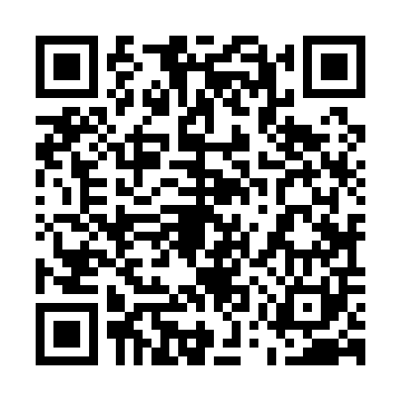QR code for 55Z101N