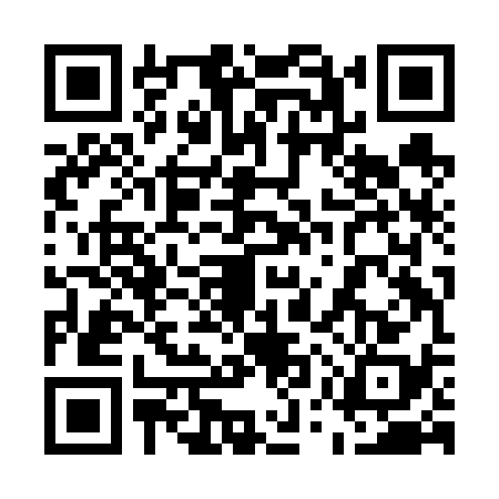 QR code for 55ZF384