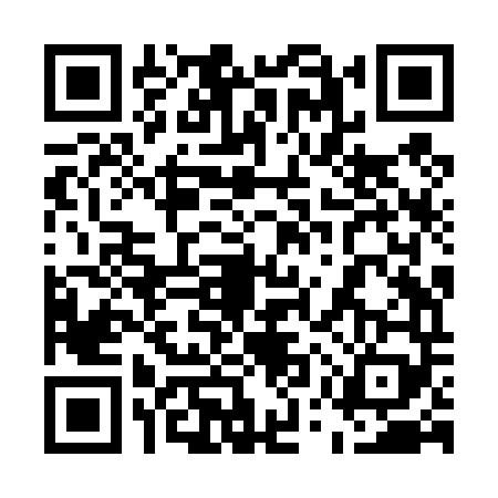 QR code for 55ZT493