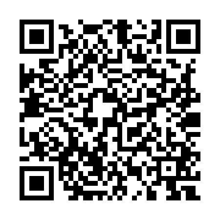 QR code for 55ZY410