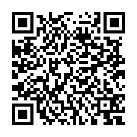 QR code for 56AM333