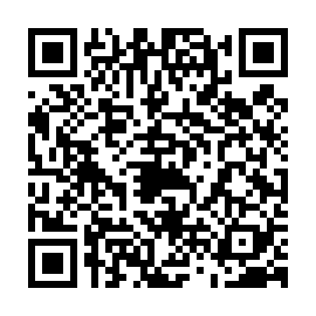QR code for 56DD294