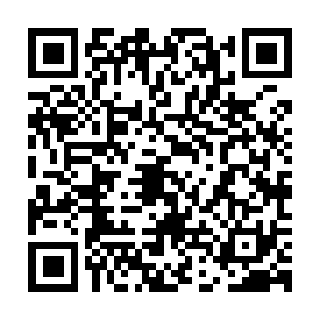 QR code for 5DH9313