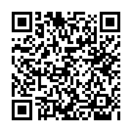 QR code for 5LV4399